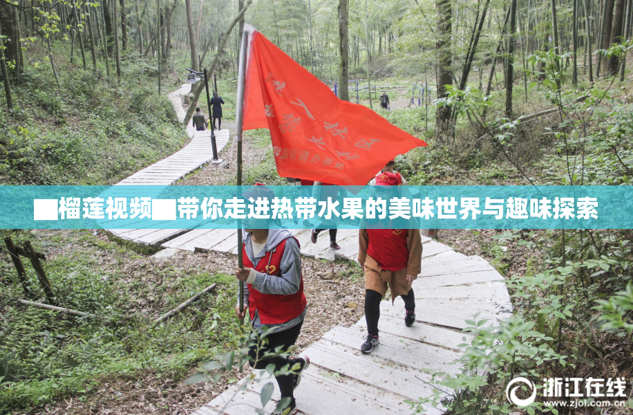 ▇榴莲视频▇带你走进热带水果的美味世界与趣味探索