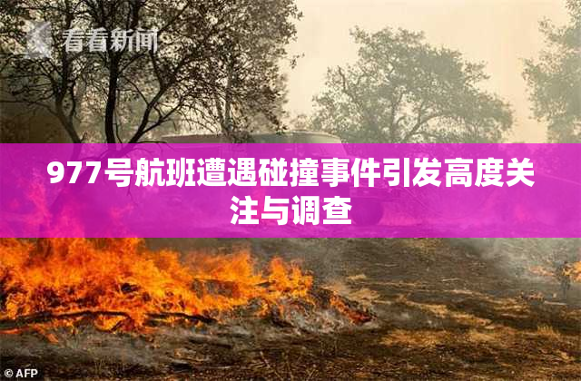 977号航班遭遇碰撞事件引发高度关注与调查