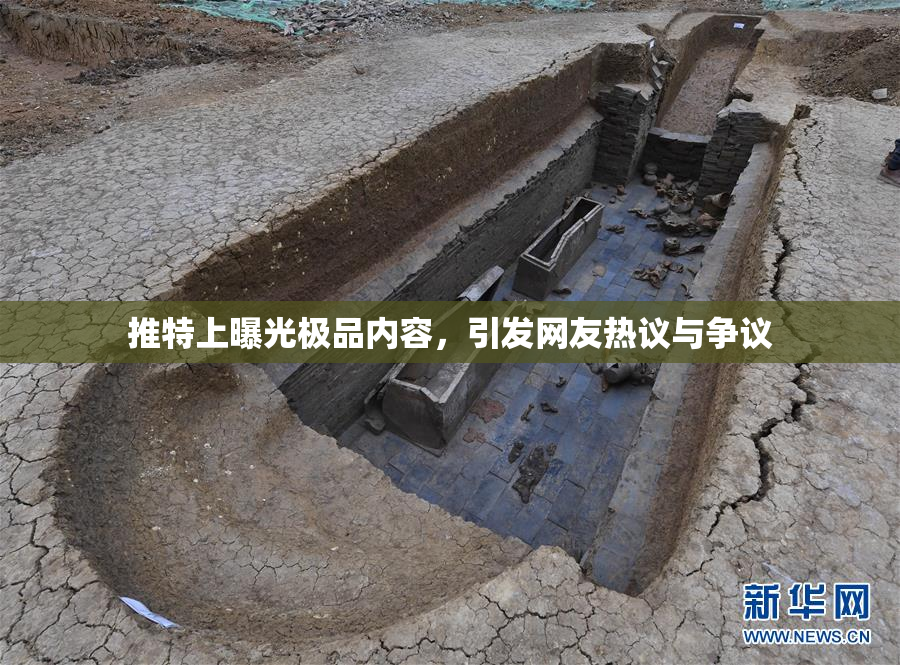 推特上曝光极品内容，引发网友热议与争议
