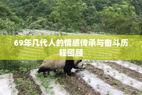 69年几代人的情感传承与奋斗历程回顾