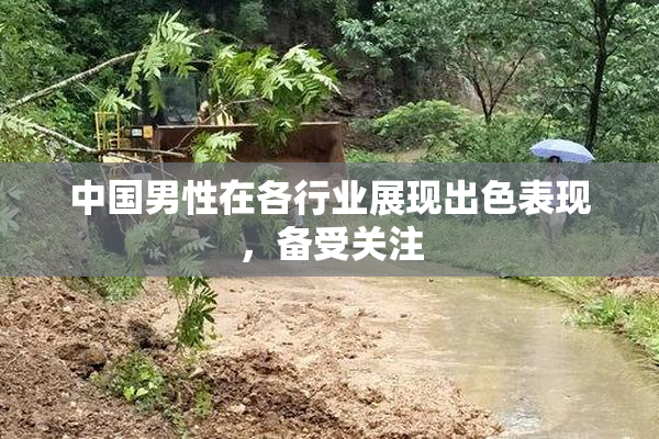 中国男性在各行业展现出色表现，备受关注