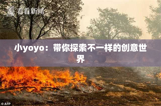 小yoyo：带你探索不一样的创意世界