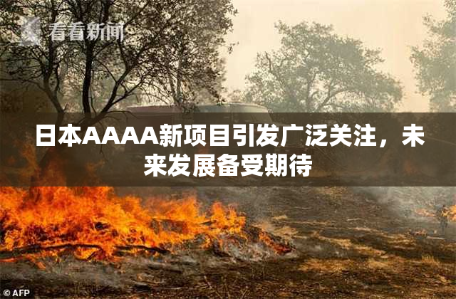日本AAAA新项目引发广泛关注，未来发展备受期待