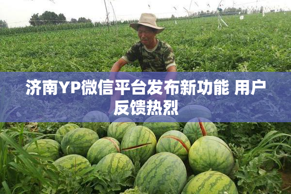 济南YP微信平台发布新功能 用户反馈热烈