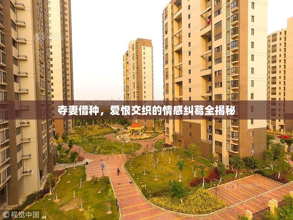 夺妻借种，爱恨交织的情感纠葛全揭秘