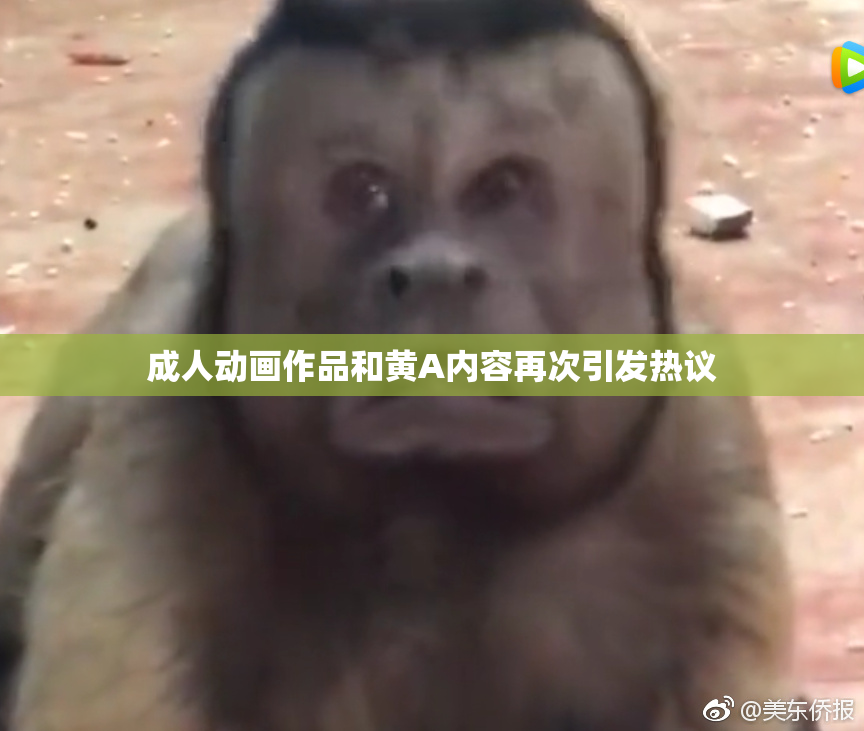 成人动画作品和黄A内容再次引发热议