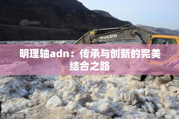 明理轴adn：传承与创新的完美结合之路