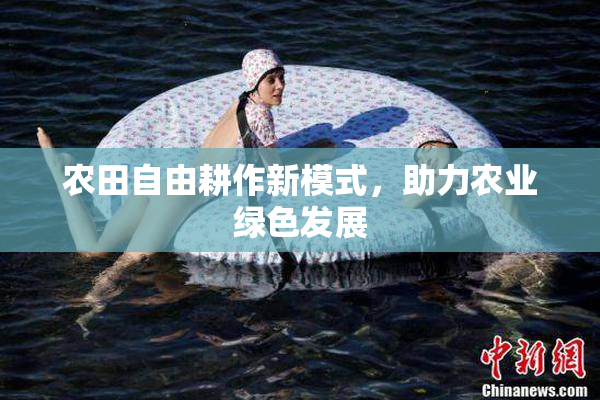 农田自由耕作新模式，助力农业绿色发展
