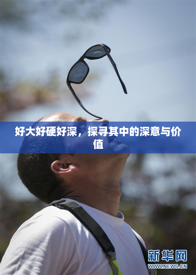 好大好硬好深，探寻其中的深意与价值