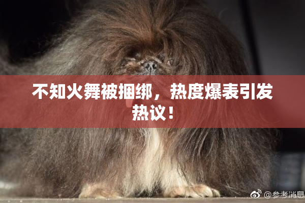 不知火舞被捆绑，热度爆表引发热议！