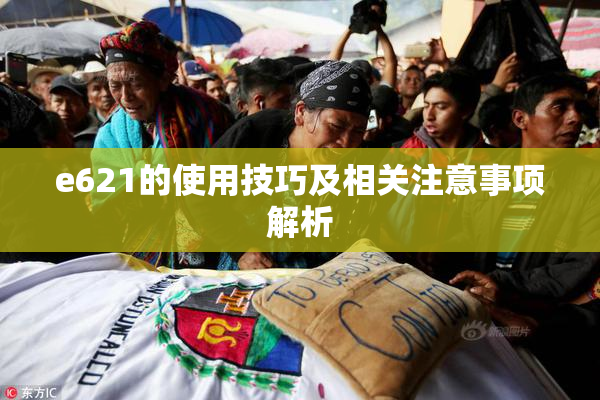 e621的使用技巧及相关注意事项解析