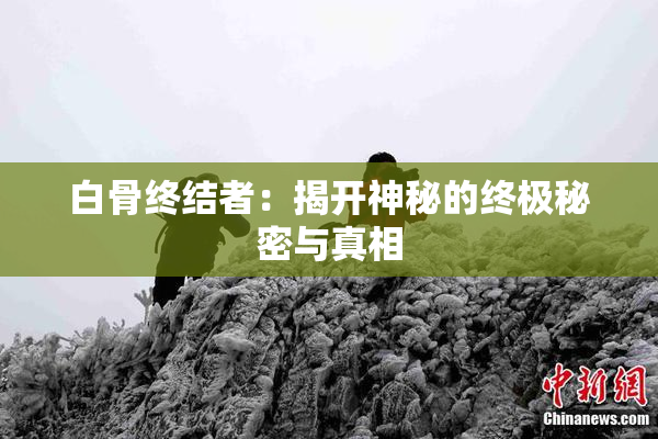 白骨终结者：揭开神秘的终极秘密与真相