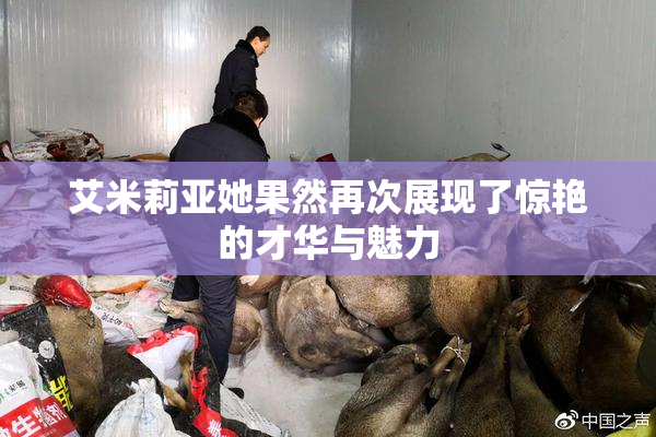 艾米莉亚她果然再次展现了惊艳的才华与魅力
