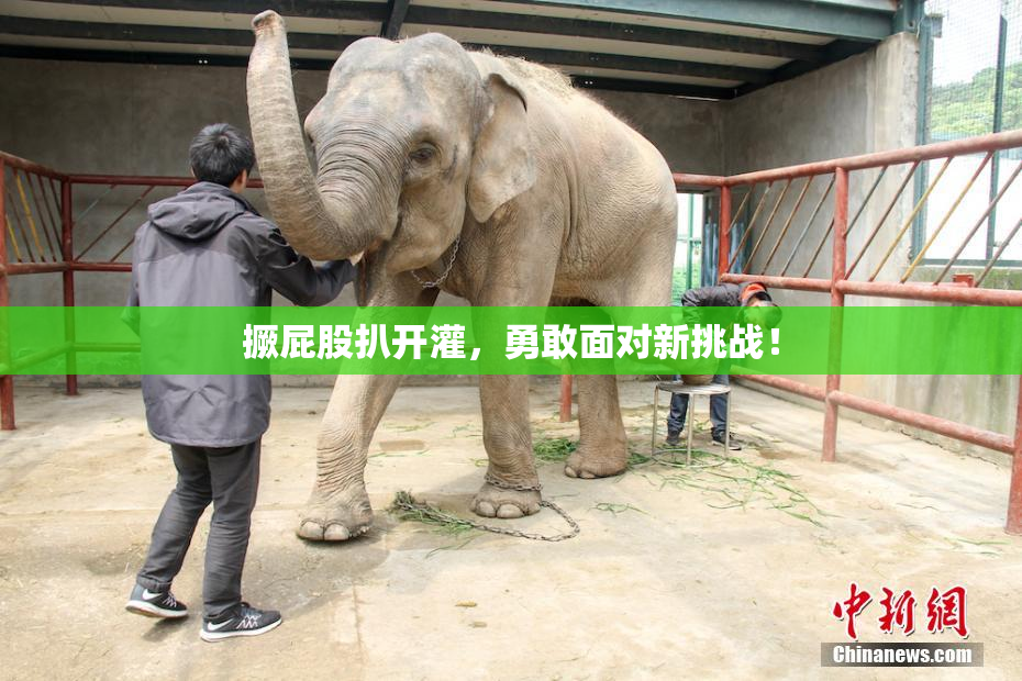 撅屁股扒开灌，勇敢面对新挑战！
