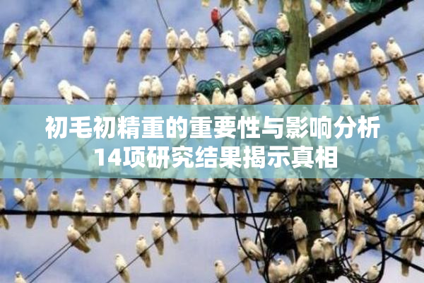 初毛初精重的重要性与影响分析 14项研究结果揭示真相