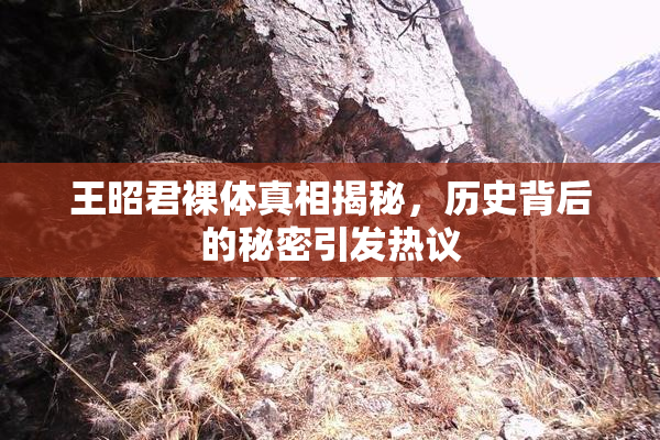 王昭君裸体真相揭秘，历史背后的秘密引发热议