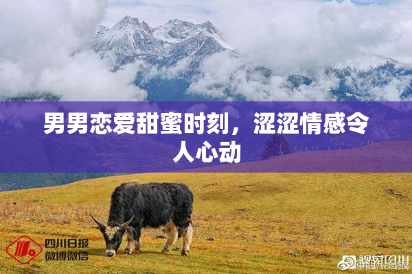 男男恋爱甜蜜时刻，涩涩情感令人心动