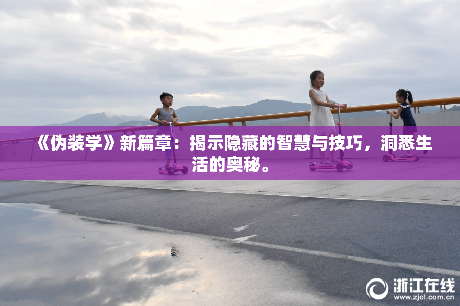 《伪装学》新篇章：揭示隐藏的智慧与技巧，洞悉生活的奥秘。