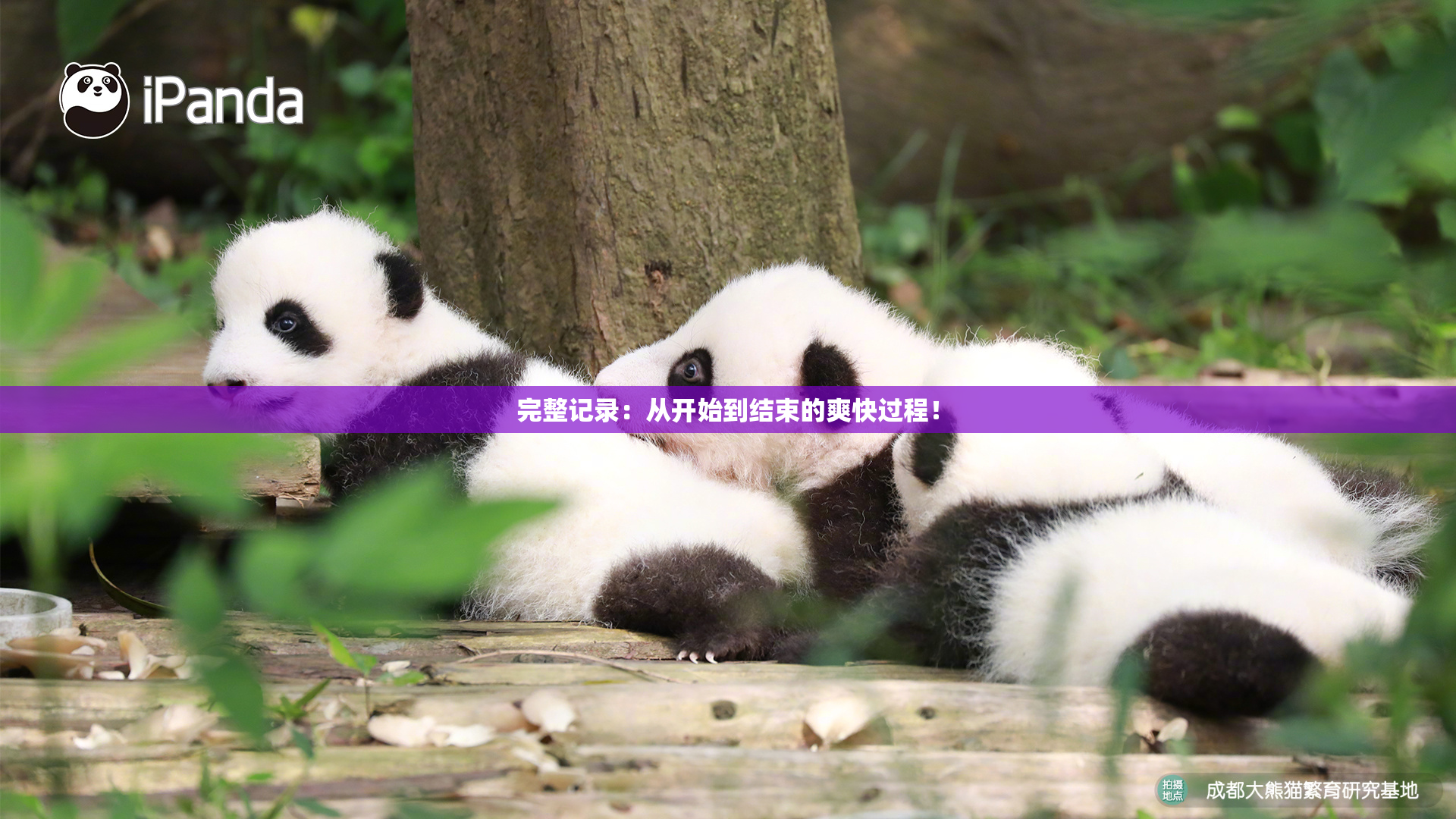 完整记录：从开始到结束的爽快过程！