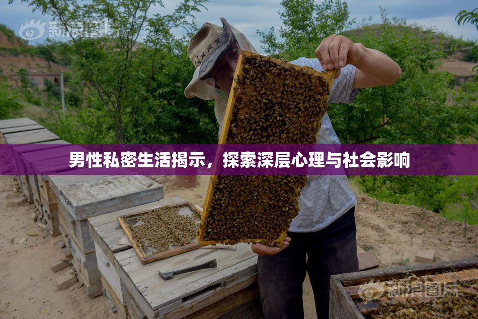 男性私密生活揭示，探索深层心理与社会影响