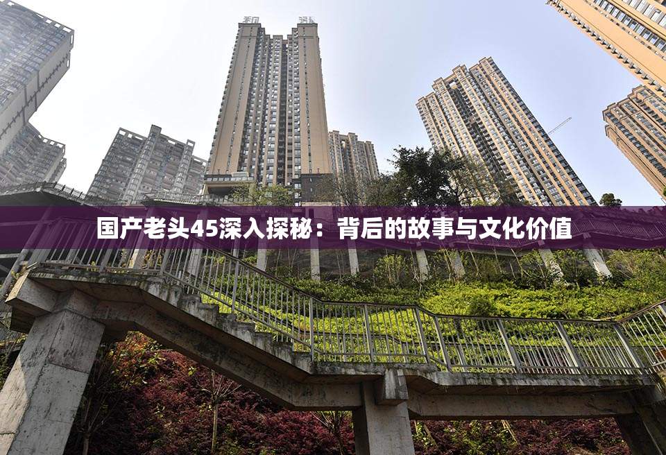 国产老头45深入探秘：背后的故事与文化价值