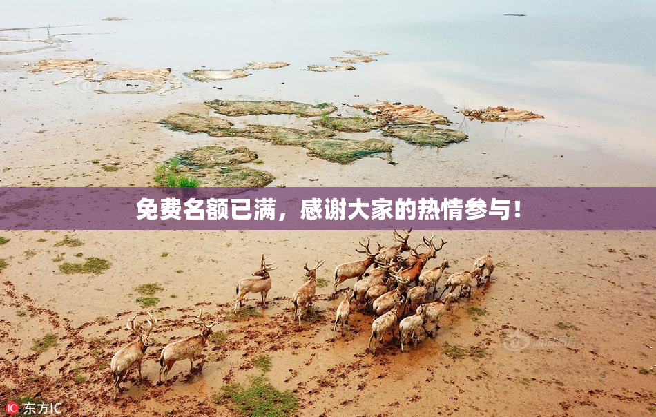 免费名额已满，感谢大家的热情参与！