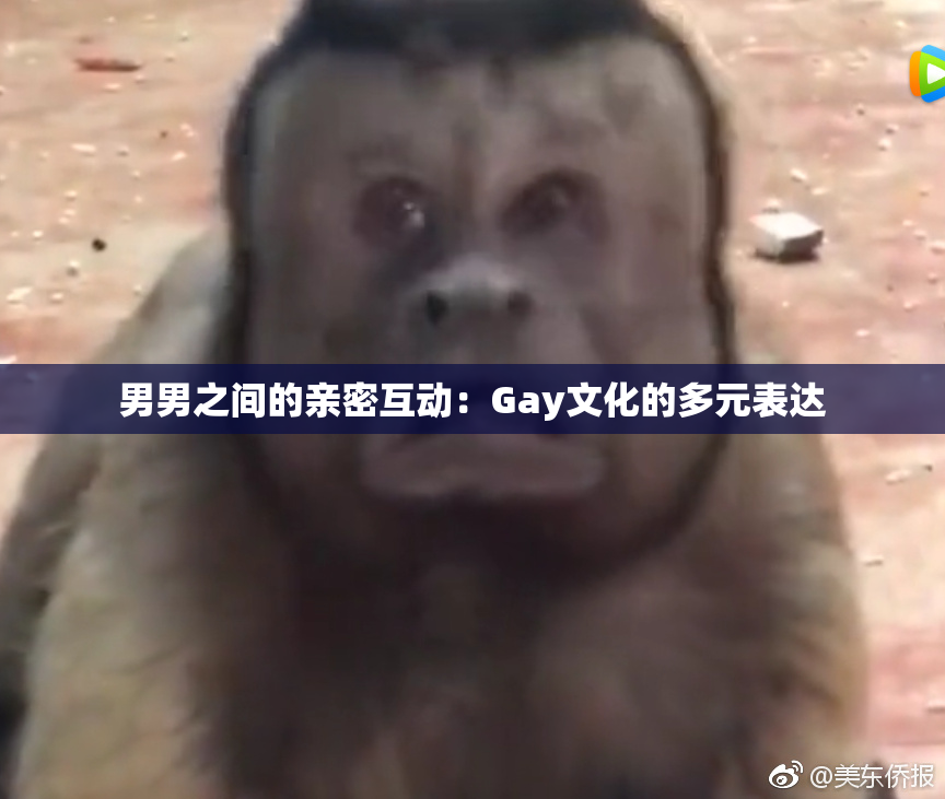 男男之间的亲密互动：Gay文化的多元表达