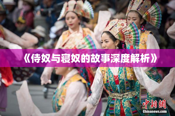 《侍奴与寝奴的故事深度解析》