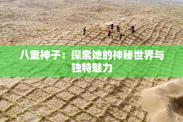 八重神子：探索她的神秘世界与独特魅力