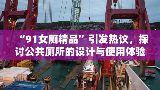 “91女厕精品”引发热议，探讨公共厕所的设计与使用体验