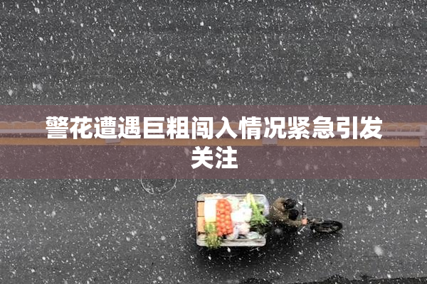 警花遭遇巨粗闯入情况紧急引发关注