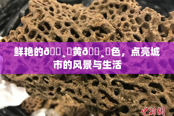 鲜艳的🌸‌黄🌸‌色，点亮城市的风景与生活