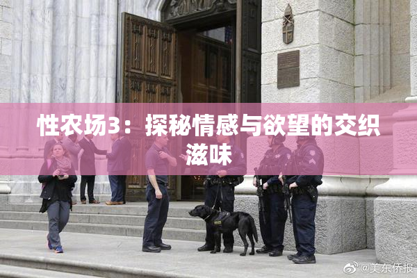 性农场3：探秘情感与欲望的交织滋味