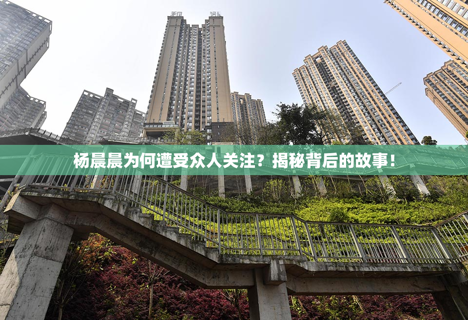 杨晨晨为何遭受众人关注？揭秘背后的故事！