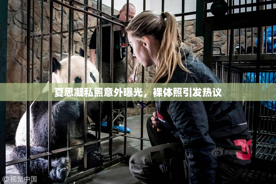夏思凝私照意外曝光，裸体照引发热议