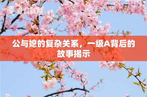 公与媳的复杂关系，一级A背后的故事揭示