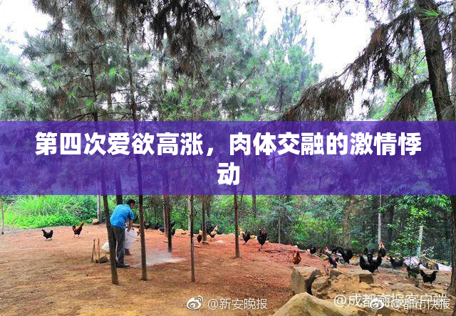 第四次爱欲高涨，肉体交融的激情悸动