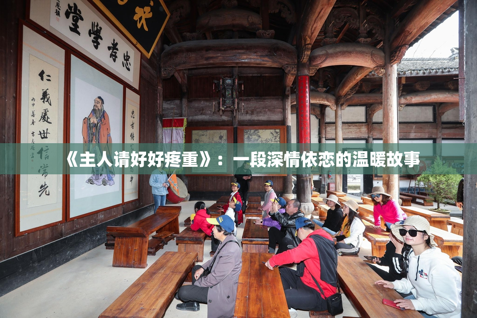 《主人请好好疼重》：一段深情依恋的温暖故事