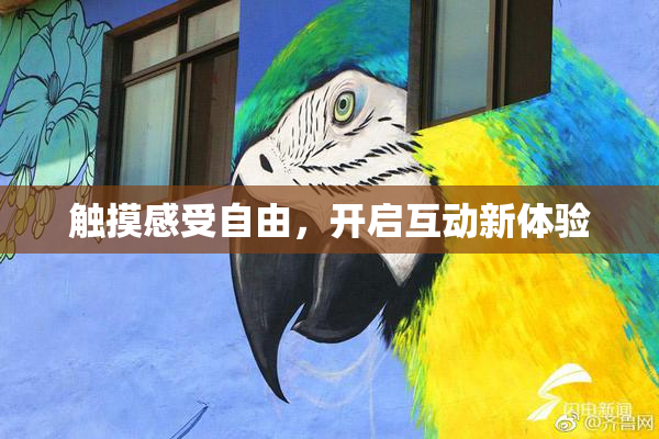 触摸感受自由，开启互动新体验