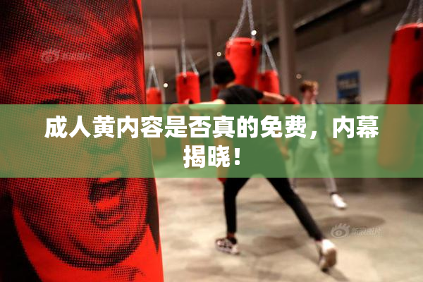 成人黄内容是否真的免费，内幕揭晓！