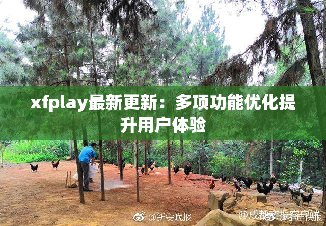 xfplay最新更新：多项功能优化提升用户体验