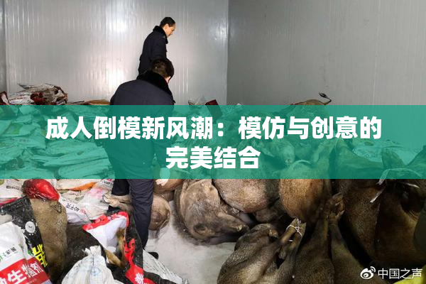 成人倒模新风潮：模仿与创意的完美结合