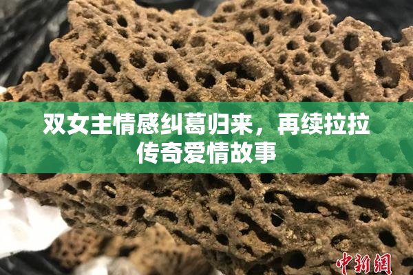 双女主情感纠葛归来，再续拉拉传奇爱情故事