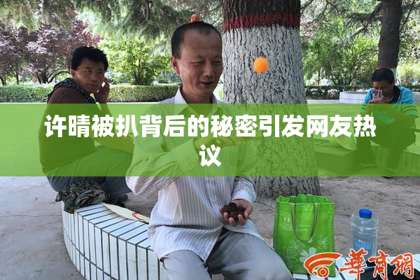 许晴被扒背后的秘密引发网友热议