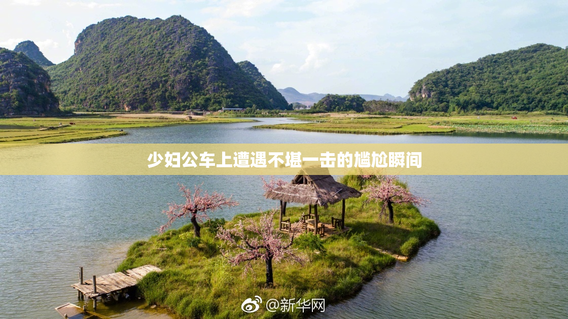 少妇公车上遭遇不堪一击的尴尬瞬间