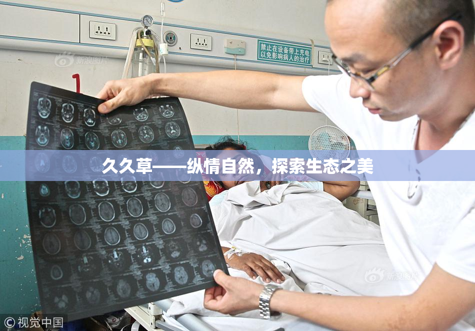 久久草——纵情自然，探索生态之美