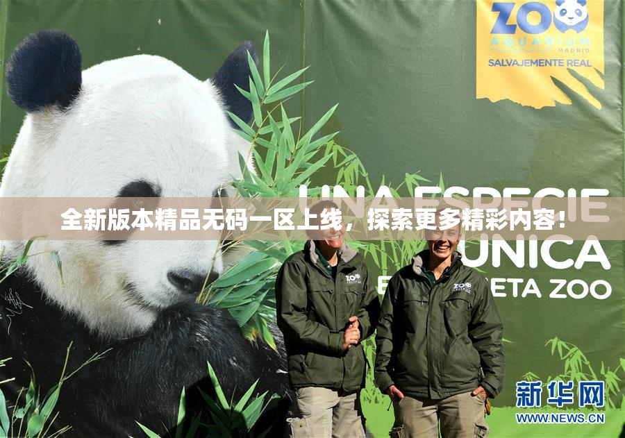全新版本精品无码一区上线，探索更多精彩内容！