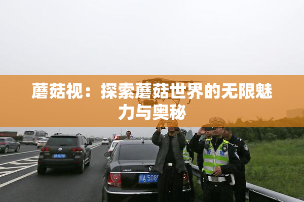 蘑菇视：探索蘑菇世界的无限魅力与奥秘