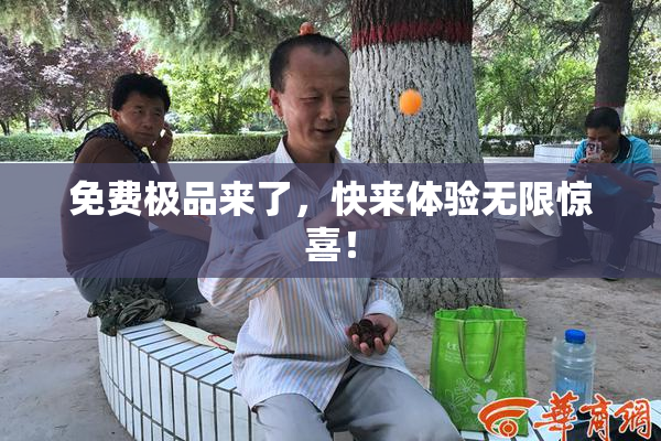 免费极品来了，快来体验无限惊喜！