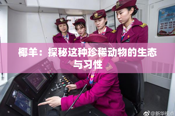 椰羊：探秘这种珍稀动物的生态与习性